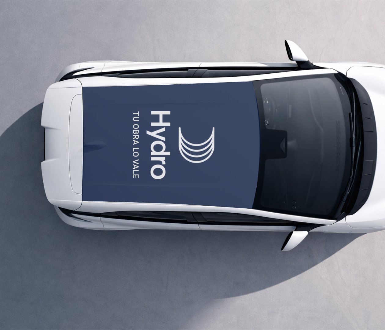 BYD Dolphin Mini - techo