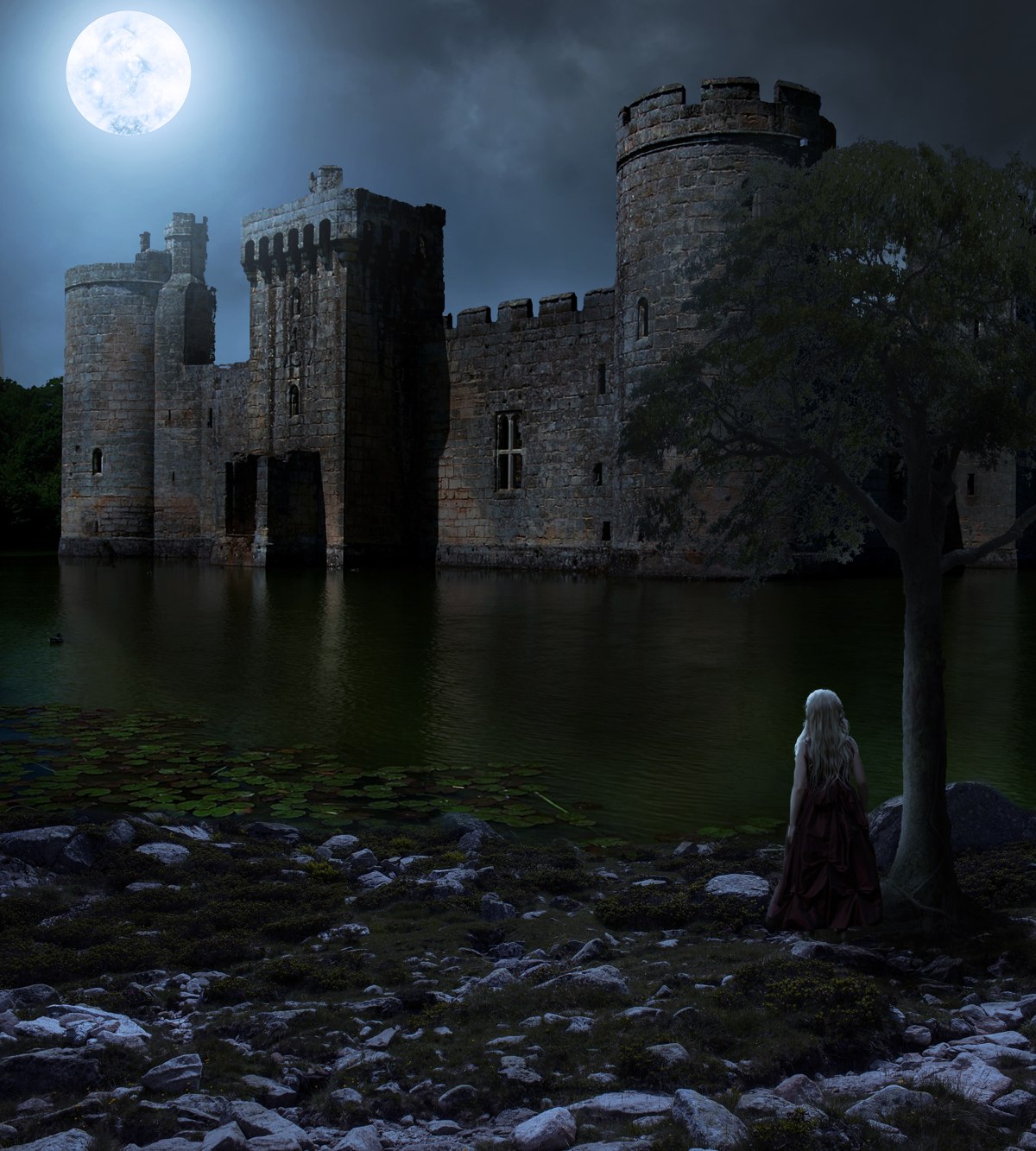 Castle Night: después